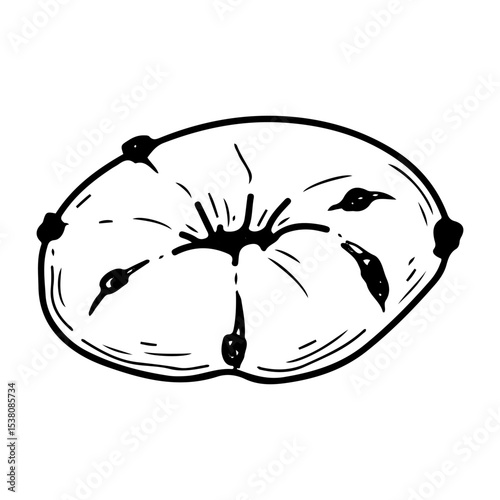 Bagel with chocolate or raisins. Hand drawn doodle vector. Baked tasty food for breakfast. Bread ring. Confectionery round bun. Bakery cafe menu. Illustration line art element.