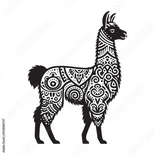 giraffe vector illustration