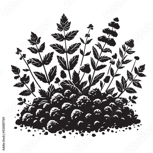 Black Tabbouleh Silhouette Vector, High Quality Illustration on White Background