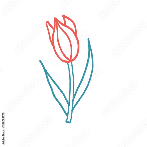 Tulip flower crayon drawn. Spring crocus plant doodle isolated on white background. Summer floral kids element. Chalk or pastel style childish scrawl nature shape. Vector naive illustration by pencil.