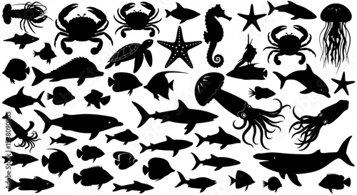 Collection of Black Silhouettes of Diverse Marine Life