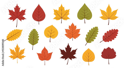 Colorful Collection of Various Autumn Leaves in Different Shapes