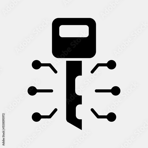 Icon digital key. Crypto currency elements. Icon in glyph style.