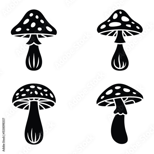 Isolated mushrooms on white background

