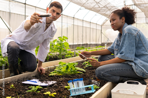 Researchers collected experimental results from vegetable plots in a temperature-controlled greenhouse, with children as research assistants.