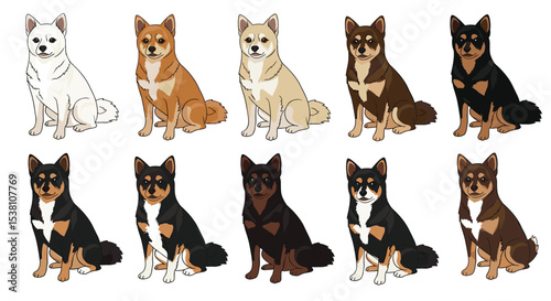 A Diverse Collection of Canine Companions Illustrating the Beauty of Dog Breed Variety