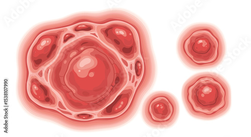 Anatomical Illustration Displaying the Structure of Living Tissue and Cells in Great Detail