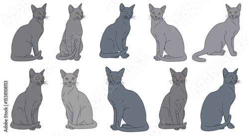 A Collection of Silhouetted Cats Sitting and Standing Calmly with Different Shades