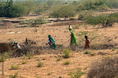 Group of Kutchi Tribal Women in Traditional Dress Walking to Collect Water at Sunset