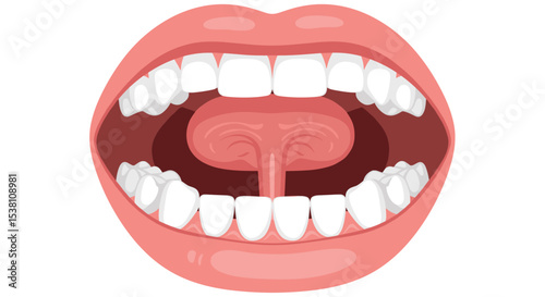Comprehensive Analysis of Oral Health Anatomy Physiology and Common Disorders for Medical Professionals