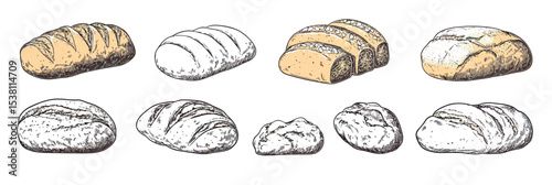Hand drawn sketch bakery bread variety set including ciabatta baguette sourdough buns and toast isolated on white background in minimalist vector style