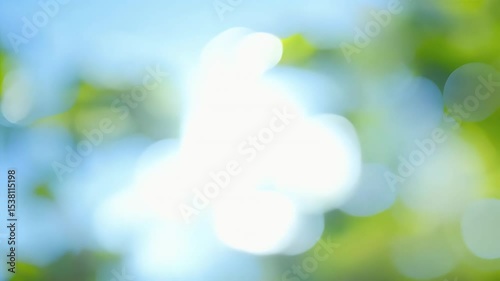 softly blurred natural background featuring fresh green foliage creating dreamy refreshing outdoor ambiance high definition video real time footage