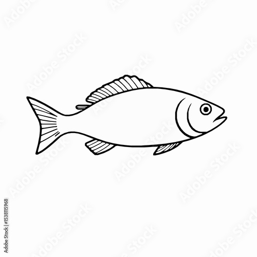 Fish outline vector illustration simple black and white aquatic animal design element isolated