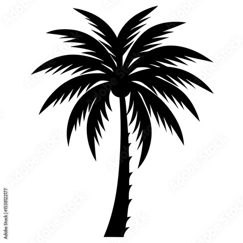 palm tree silhouette vector