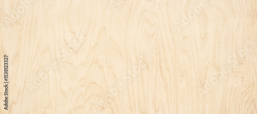 wood texture background. li...