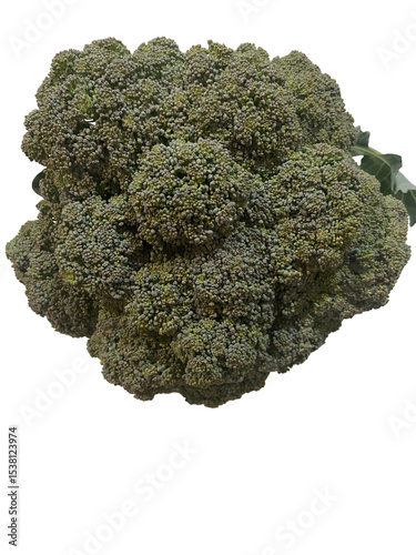 Fresh Broccoli Floret on Marble Surface with Natural Light – Healthy Green Vegetable for Cooking, Nutrition, and Food Styling Concepts