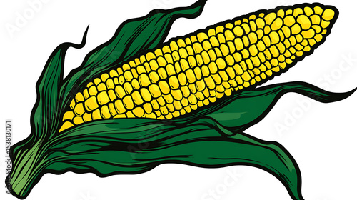 Fresh yellow corn on the cob with vibrant green husks evokes an agricultural harvest and natural food.
