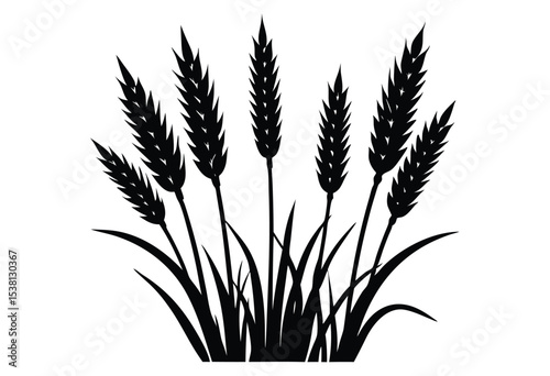 Wheat Plant Crop Silhouette Vector Illustration for Agriculture Design and Farm Icon Graphics