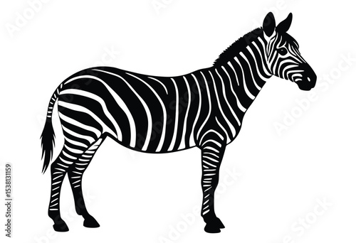 Zebra Silhouette Vector Illustration Wildlife Zebras Outline Vector Art Silhouette of Wild Animal
