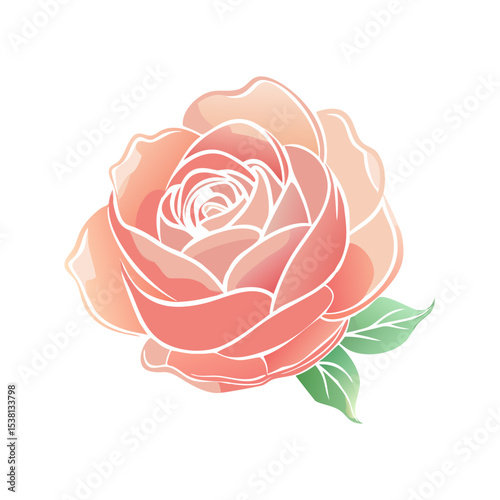 Vector illustration of a lush pastel-colored rose on white background