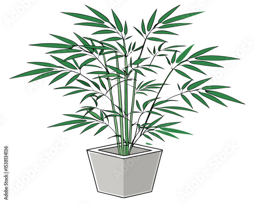Stylized Bamboo Plant in a Square Pot on a White Background