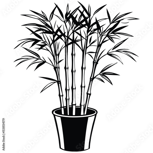 Elegant Bamboo Plant in a Pot Black and White Vector Illustration