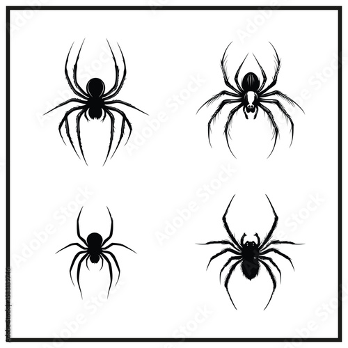 Creepy Spider Silhouette
