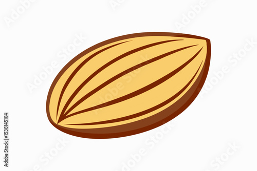 vector illustration of almond