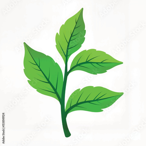 Vibrant fresh mint leaves isolated on white background, culinary freshness