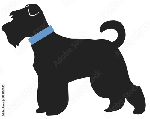 Black Schnauzer silhouette with collar. 
