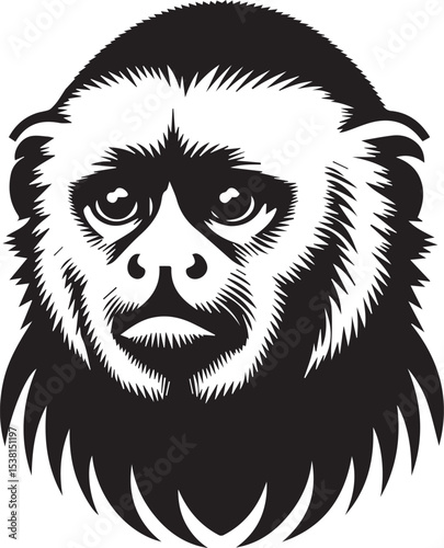 Capuchin Monkey Simple Black and White Vector Illustration