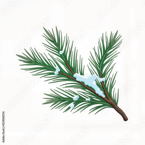 Snowy pine branch illustration on white background, winter serenity