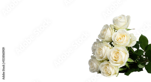 Fototapeta Naklejka Na Ścianę i Meble -  Bouquet of white roses isolated on transparent background