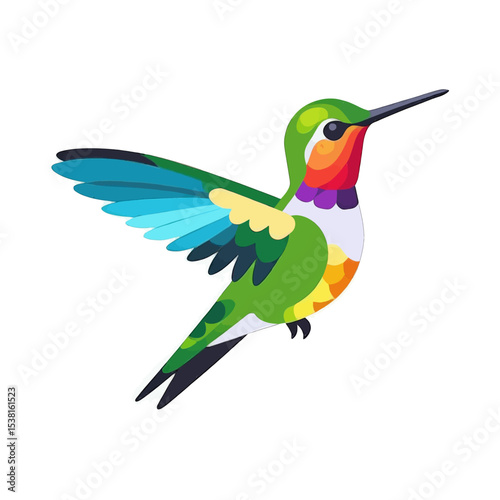 Colorful Hummingbird Illustration Flying Bird Vector Graphic Design