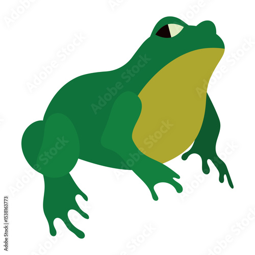 Green Frog Isolated Vector Illustration. Frog in a minimalist and modern design, emphasizing simplicity and creativity.
