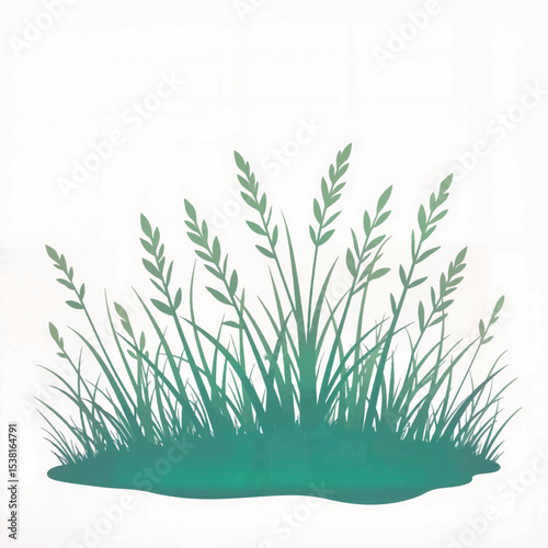 Frost-covered grass illustration on white background, winter beauty