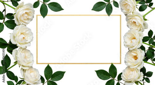 White roses and green leaves frame a golden rectangle isolated on transparent background
