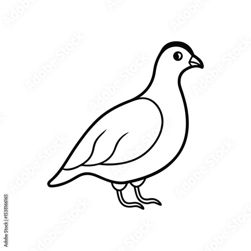 quail line art