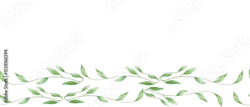 Εκτύπωση καμβά Delicate green leafy vines painted in watercolor seamless horizontal border isolated on white