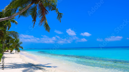 Fototapeta Naklejka Na Ścianę i Meble -  Panorama view of tropical beach with coconut palm trees as white sand beach background