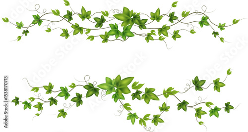 Set of green vine liana or ivy