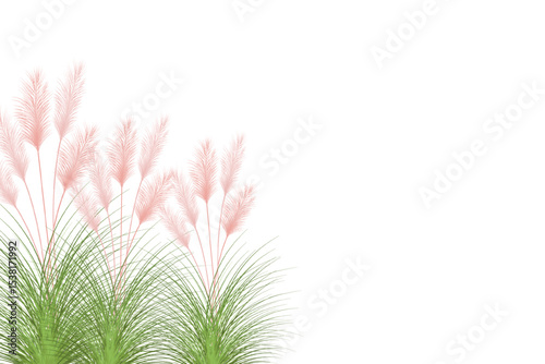 plant for decoration, frame, background, fabric print, retro textile, wallpaper