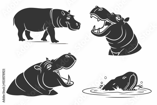 zebra and rhino