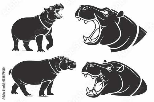 rhino vector illustration