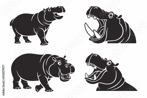 rhino vector illustration