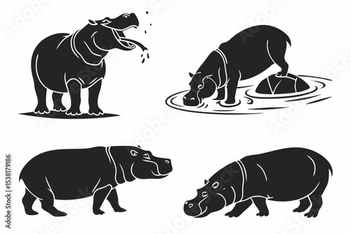 rhino vector illustration