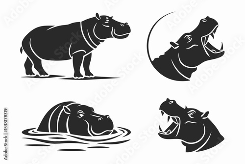 rhino vector illustration