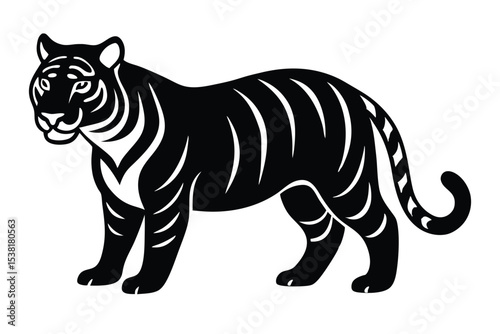 tiger isolated on white background
