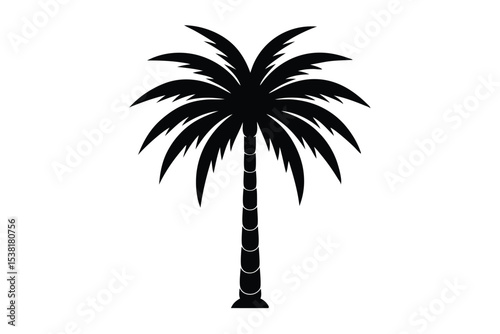palm tree silhouette