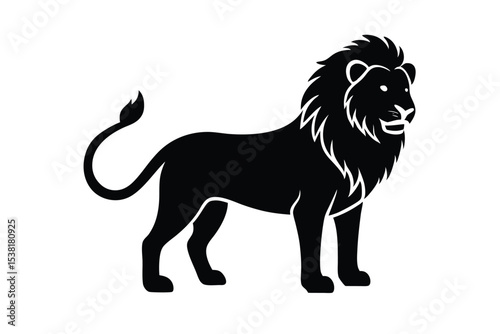 lion vector illustration